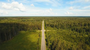 Orman arasında karayolu.