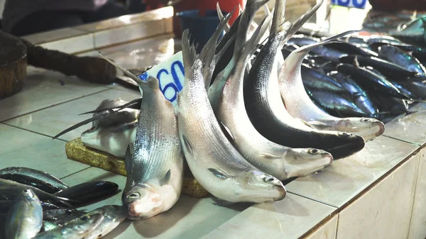 Peixe no mercado asiático. — Fotografia de Stock