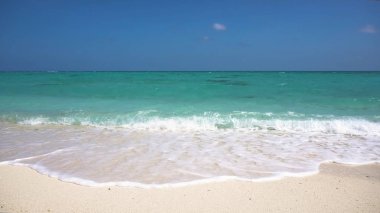 güzel bir plaj tropikal adada.