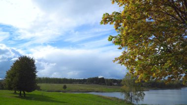 Ağaçlar ve yapraklarla dolu sonbahar manzarası.