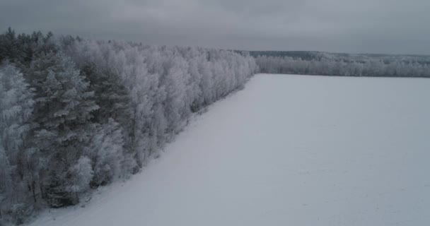 Χειμερινό τοπίο με δάση, πεδίο. Χειμωνιάτικο τοπίο. — Αρχείο Βίντεο