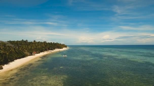Vista aérea hermosa playa en una isla tropical. Filipinas, zona de Anda . — Vídeos de Stock