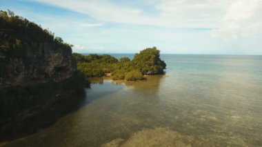 Tropik ada, plaj, kayalar ve dalgalar deniz manzarası. Bohol, Filipinler.