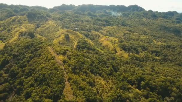 Montanhas com floresta tropical. Filipinas Siargao ilha . — Vídeo de Stock