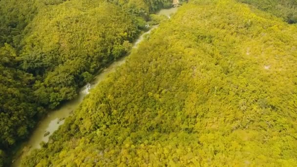 Loboc rivière dans la forêt tropicale Philippines, Bohol . — Video