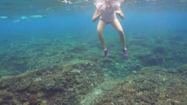 Meisje snorkelen onderwater. — Stockvideo