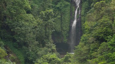 Güzel tropik şelale. Bali, Endonezya.