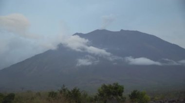 Dağ ormanlarının manzarası. Bali