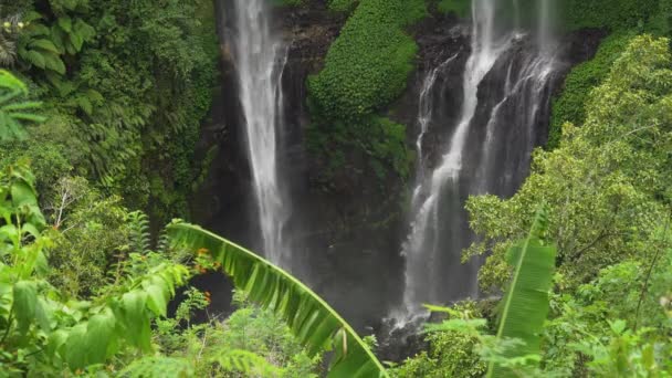 Prachtige tropische waterval. Bali, Indonesië. — Stockvideo