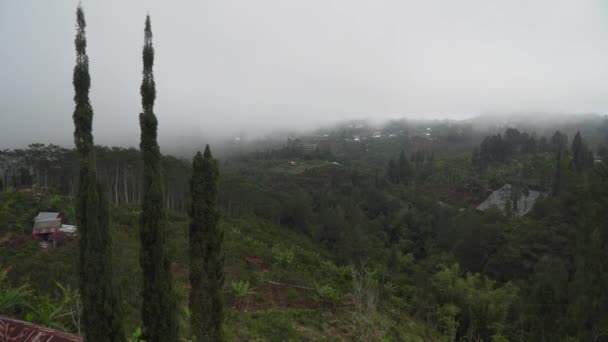 Dağlarda, bulutların arasında tarım arazileri. Bali, Endonezya. — Stok video