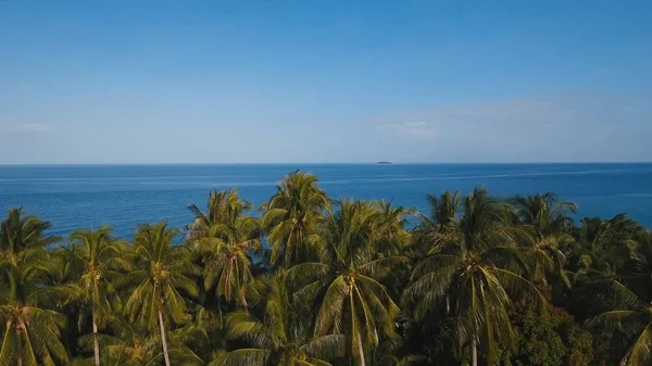 Morze krajobraz z drzew na morze i palmy. Lotu ptaka widok: Camiguin island, Filipiny. — Zdjęcie stockowe