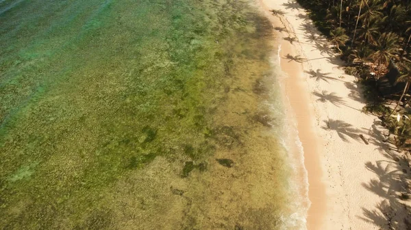 Vista aérea hermosa playa en una isla tropical. Filipinas, Siargao . — Foto de Stock