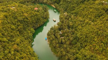 Yağmur ormanlarında Filipinler, Bohol Loboc Nehri.