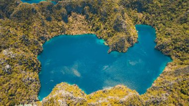 Filipinler, Coron, Palawan 'da tropikal bir adada Barakuda Gölü.