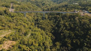 Dağ Kanyon orman üzerinde köprü. Bali, Endonezya.