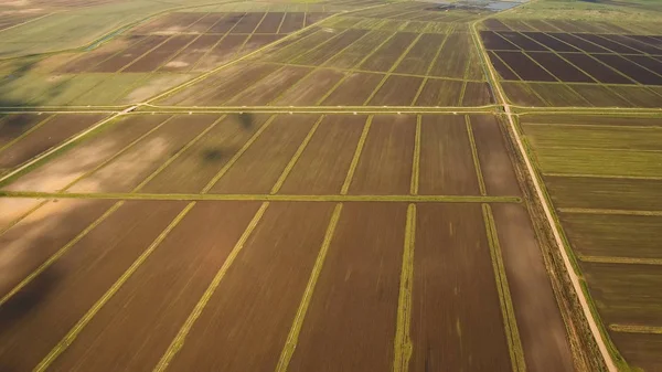 Вид з повітря на сільськогосподарські угіддя . — стокове фото