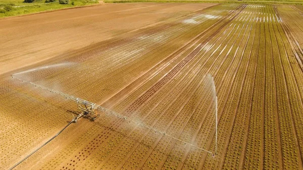 Sistema de riego en tierras agrícolas. —  Fotos de Stock