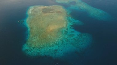 Mercan kayalıkları mercan adası, Bali.