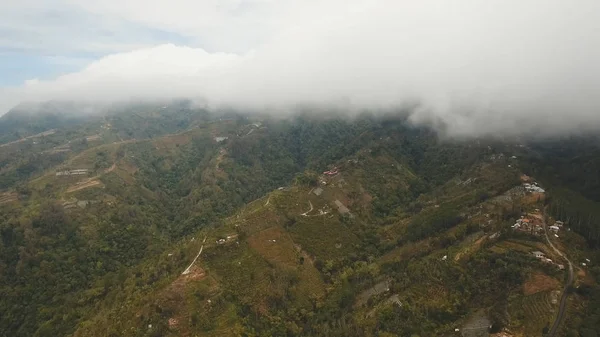 Terres agricoles dans les montagnes dans le brouillard et les nuages. Bali, Indonésie — Photo