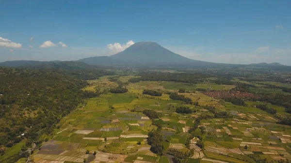 Hegyvidéki táj mezőgazdasági területek és falu Bali, Indonézia. — Stock Fotó