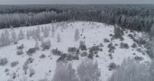 Paisaje invernal con bosque, campo. Paisaje invierno . — Vídeo de stock