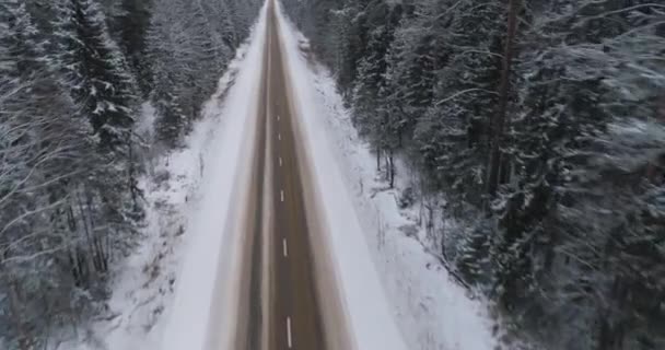 Strada invernale nella foresta. — Video Stock