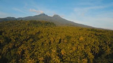 Tropikal orman ile Dağları. Camiguin Adası Filipinler.