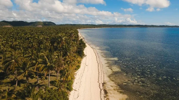 Hava güzel bir plaj tropikal bir adada görüntüleyin. Filipinler, Siargao.