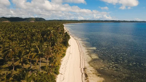 Hava güzel bir plaj tropikal bir adada görüntüleyin. Filipinler, Siargao. — Stok fotoğraf