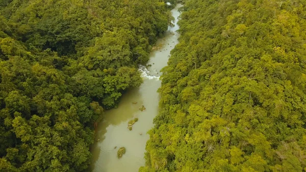熱帯雨林フィリピン、ボホールでロボック川. — ストック写真