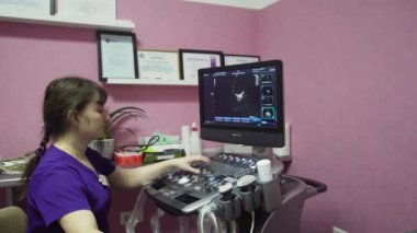 Veteriner kliniğinde ultrason teşhisi.