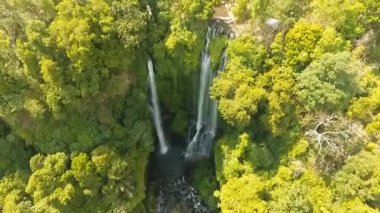 Güzel tropik şelale. Bali, Endonezya.