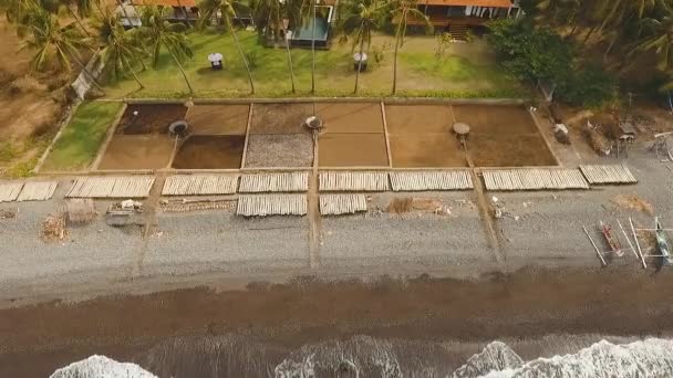 De productie van zout in Bali. — Stockvideo