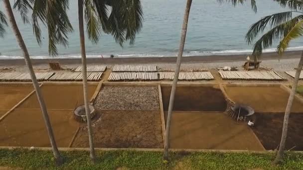 Produkce soli v Bali. — Stock video