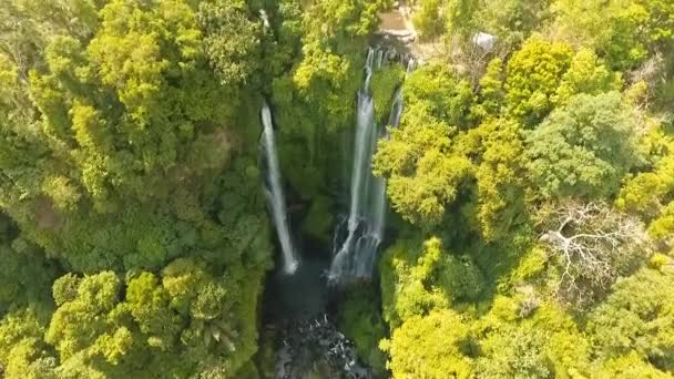 美しい熱帯の滝。インドネシアのバリ. — ストック動画
