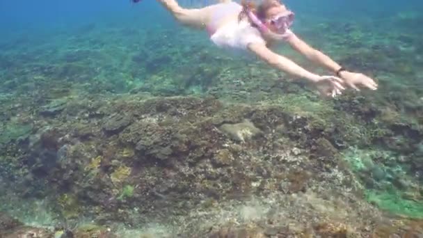 Víz alatti lány snorkeling. — Stock videók