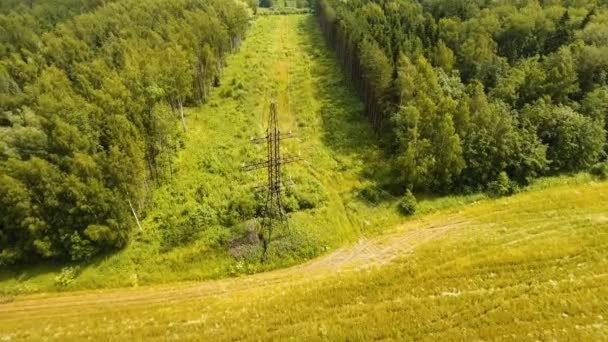 High voltage power line. Aerial view. — Stock Video