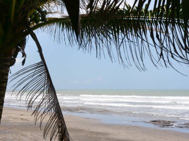 güzel bir plaj tropikal adada.