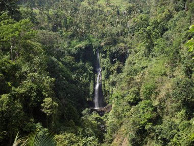 Güzel tropik şelale. Bali, Endonezya.