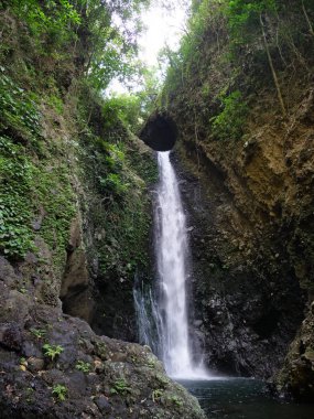 Güzel tropik şelale. Bali, Endonezya.