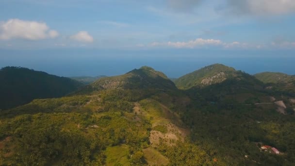 Góry z tropikalnym lasem. Wyspa Cebu na Filipinach. — Wideo stockowe