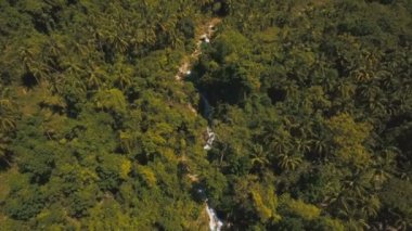 Güzel tropik şelale. Filipinler Cebu Adası.