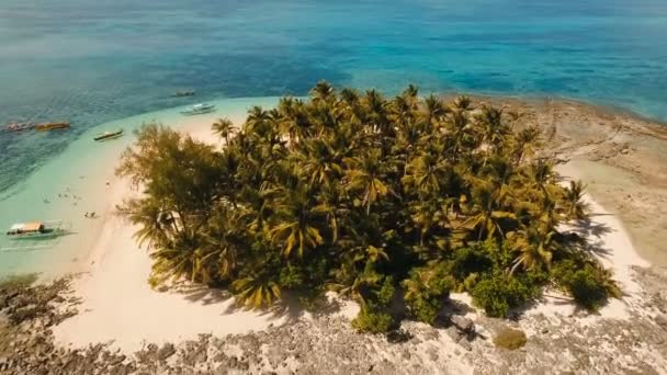 Havadan görünümü güzel plaj tropikal adada. Guyam Adası, Filipinler, Siargao. — Stok video