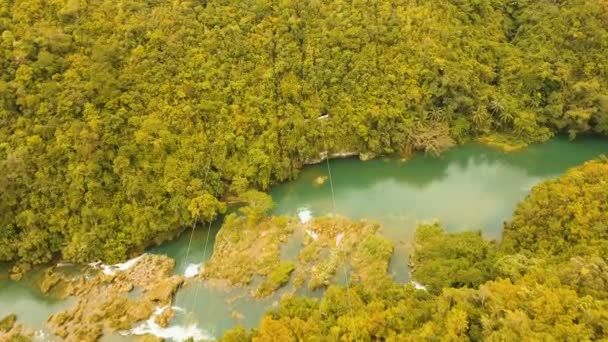 Έλξης zipline στη ζούγκλα του νησιού της Bohol, Φιλιππίνες. — Αρχείο Βίντεο