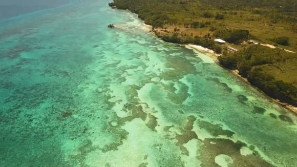 Vista aerea bellissima spiaggia su un'isola tropicale. Filippine, zona di Anda . — Video Stock