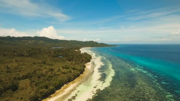 Letecký pohled krásné pláže na tropickém ostrově. Filipíny, Anda oblast. — Stock video