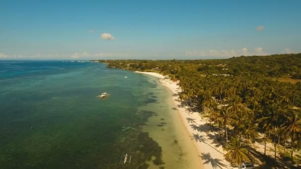 Antenn Visa vacker strand på en tropisk ö. Filippinerna, Bohol. — Stockvideo