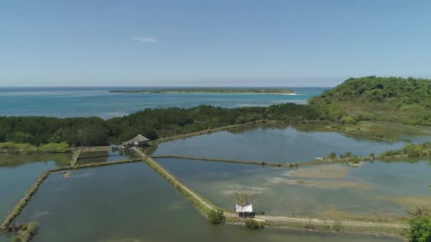 Tropisk ö Magalawa med beach. — Stockvideo