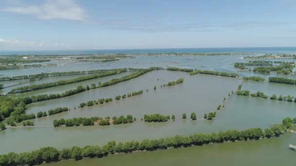 Ciudad entre el agua en manglares . — Vídeos de Stock