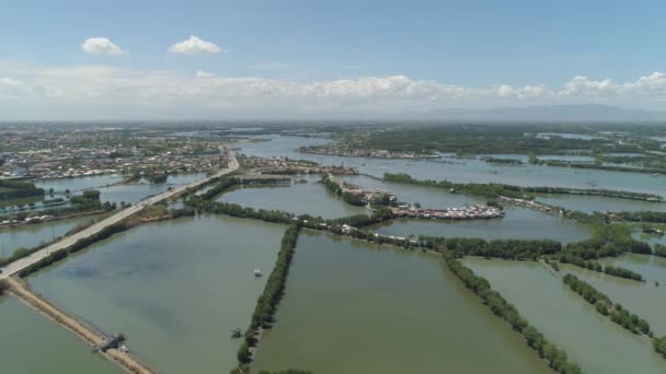 Город среди воды в мангровых зарослях . — стоковое видео